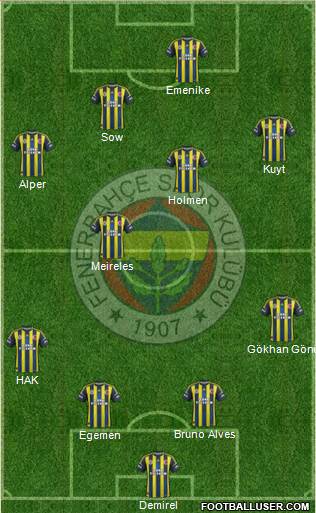 Fenerbahçe SK Formation 2013