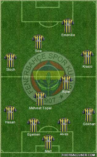 Fenerbahçe SK Formation 2013