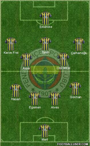 Fenerbahçe SK Formation 2013