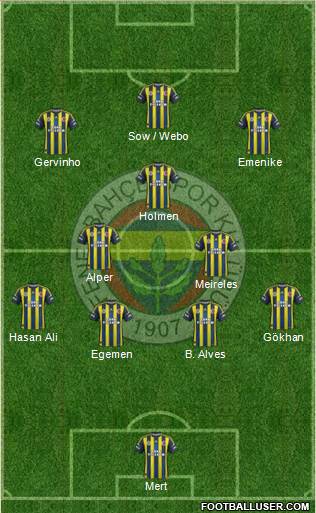 Fenerbahçe SK Formation 2013