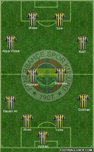 Fenerbahçe SK Formation 2013