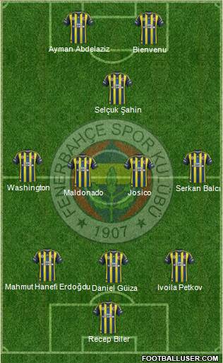 Fenerbahçe SK Formation 2013