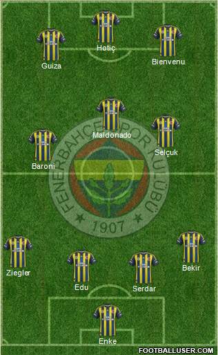 Fenerbahçe SK Formation 2013