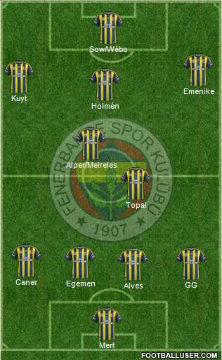 Fenerbahçe SK Formation 2013