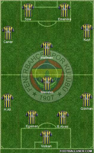 Fenerbahçe SK Formation 2013