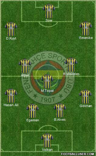 Fenerbahçe SK Formation 2013