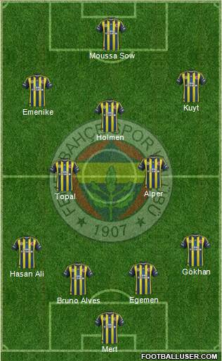 Fenerbahçe SK Formation 2013