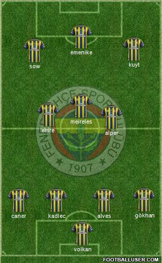 Fenerbahçe SK Formation 2013
