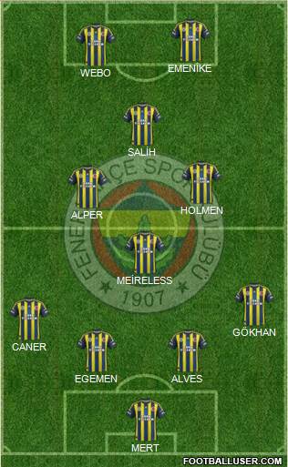 Fenerbahçe SK Formation 2013