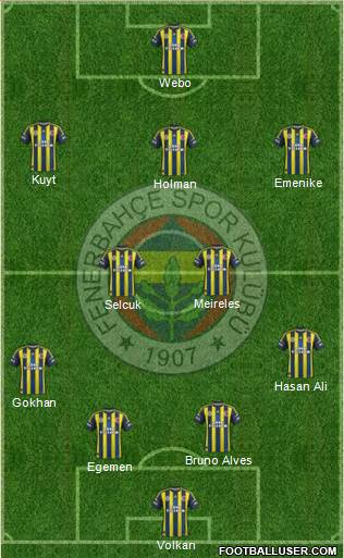 Fenerbahçe SK Formation 2013
