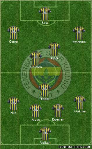 Fenerbahçe SK Formation 2013