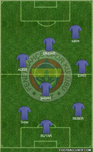 Fenerbahçe SK Formation 2013