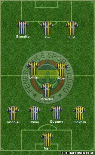 Fenerbahçe SK Formation 2013