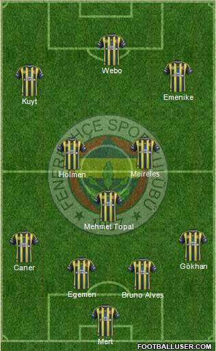 Fenerbahçe SK Formation 2013