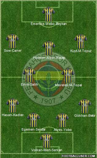 Fenerbahçe SK Formation 2013