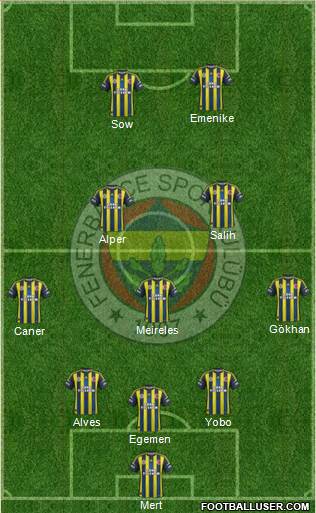 Fenerbahçe SK Formation 2013