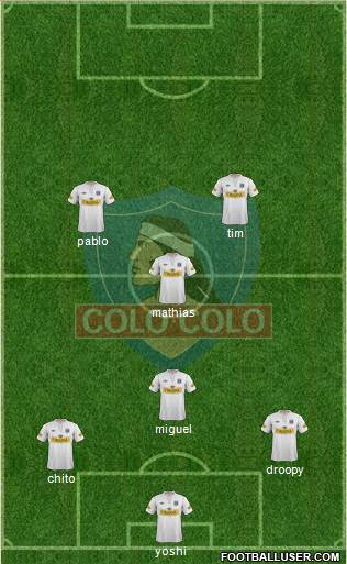 CSD Colo Colo Formation 2013