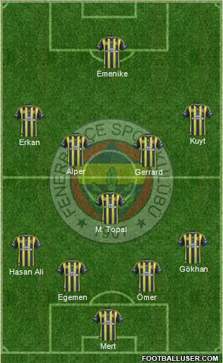 Fenerbahçe SK Formation 2013