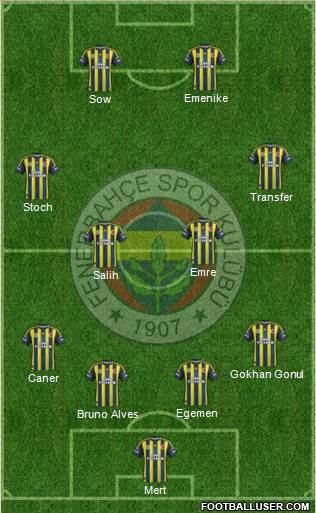 Fenerbahçe SK Formation 2013