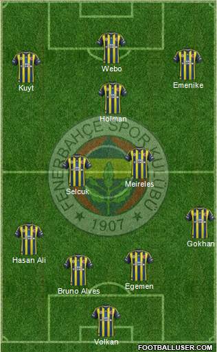 Fenerbahçe SK Formation 2013