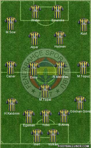 Fenerbahçe SK Formation 2013