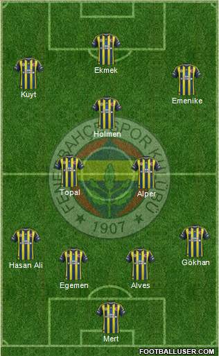 Fenerbahçe SK Formation 2013