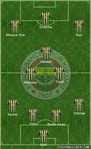 Fenerbahçe SK Formation 2013