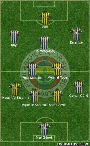 Fenerbahçe SK Formation 2013