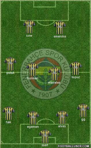 Fenerbahçe SK Formation 2013
