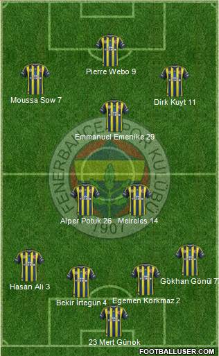 Fenerbahçe SK Formation 2013