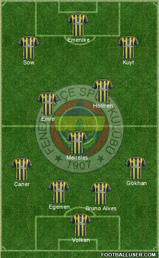 Fenerbahçe SK Formation 2013