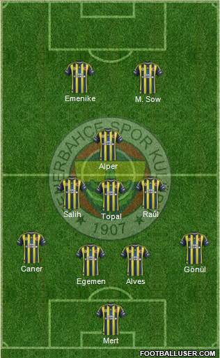 Fenerbahçe SK Formation 2013