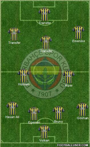 Fenerbahçe SK Formation 2013