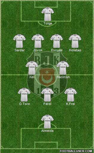 Besiktas JK Formation 2013