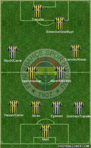 Fenerbahçe SK Formation 2013