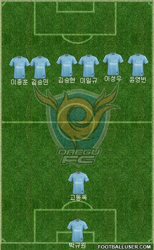 Daegu FC Formation 2013