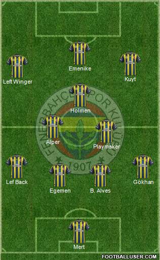 Fenerbahçe SK Formation 2013