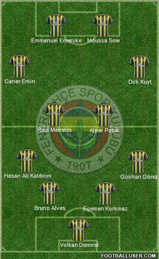 Fenerbahçe SK Formation 2013