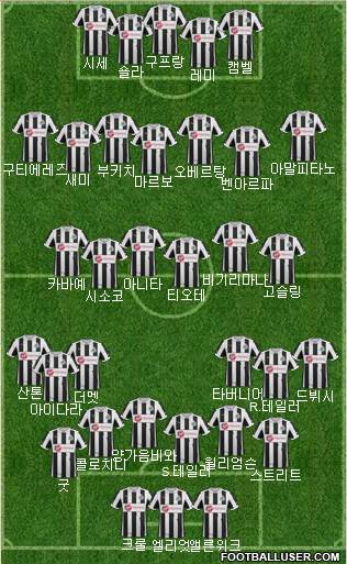Newcastle United Formation 2013