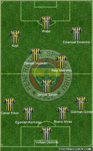 Fenerbahçe SK Formation 2013
