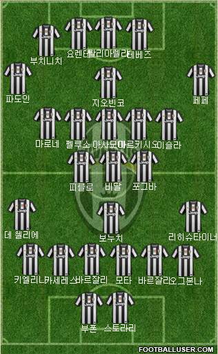 Juventus Formation 2013