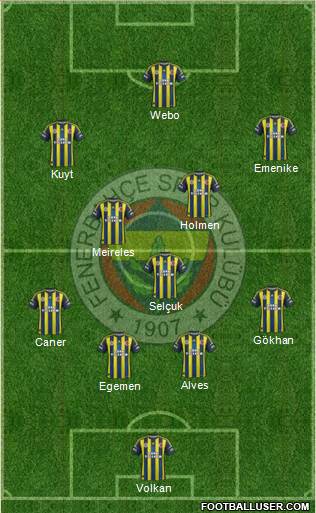 Fenerbahçe SK Formation 2013