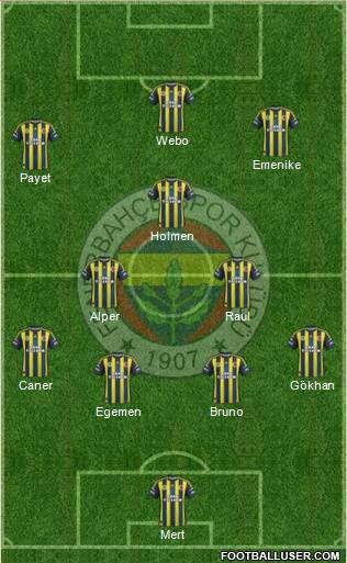 Fenerbahçe SK Formation 2013