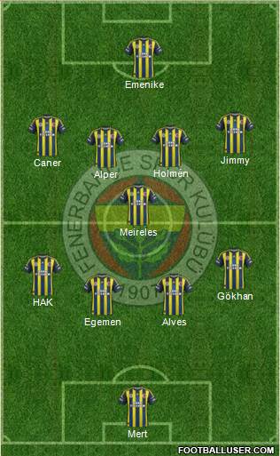 Fenerbahçe SK Formation 2013