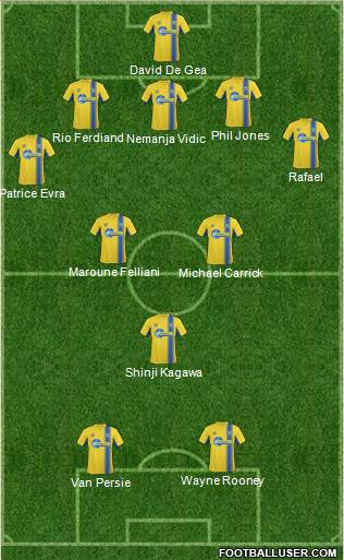 Torquay United Formation 2013