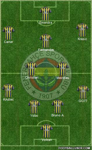 Fenerbahçe SK Formation 2013