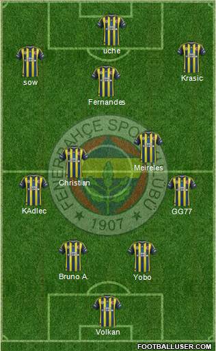 Fenerbahçe SK Formation 2013