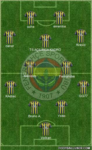 Fenerbahçe SK Formation 2013