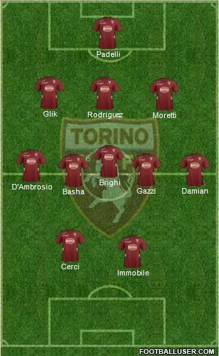 Torino Formation 2013