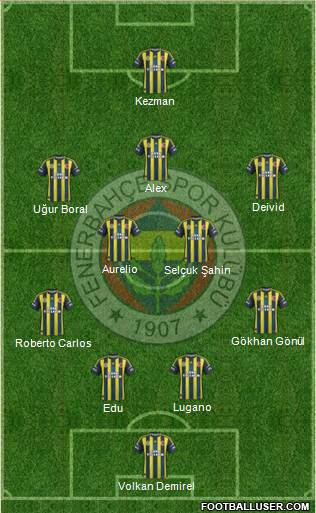 Fenerbahçe SK Formation 2013